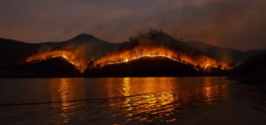 wildfire, nature, bushfire, fire, forest, emergency