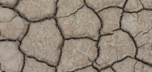 drought, wallpaper 4k, arid climate, desktop backgrounds, dry, hd wallpaper, weather, windows wallpaper, laptop wallpaper, wallpaper hd, dirt, land, free background, cool backgrounds, mac wallpaper, beautiful wallpaper, full hd wallpaper, free wallpaper, environment, cracked, 4k wallpaper, earth, 4k wallpaper 1920x1080, nature, background