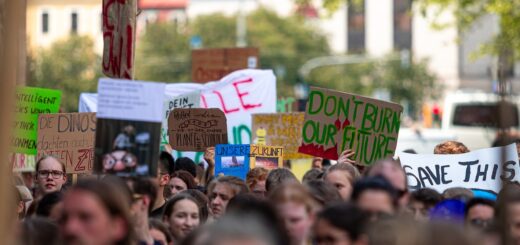 demonstration, fridays for future, climate change, environmental protection, climate strike, demonstrations, climate changes, strike, climate demo, protest, show me, climate protection, school strike, environment, students, climate protest, fridays, friday forfuture, protests, students strike, demonstration, climate change, strike, protest, protest, protest, climate protest, climate protest, climate protest, climate protest, climate protest