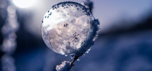 soap bubble, frozen, frozen soap bubble, winter, ice crystals, wintry, nature, cold, snow, bullet, frost bubble, frost, bubble, ice cream, ice bubble, frost ball, crystalline, crystals, freeze, winter magic, spherical shape, magic, ice flowers, spherical, crystal growth, the winter's tale, icy