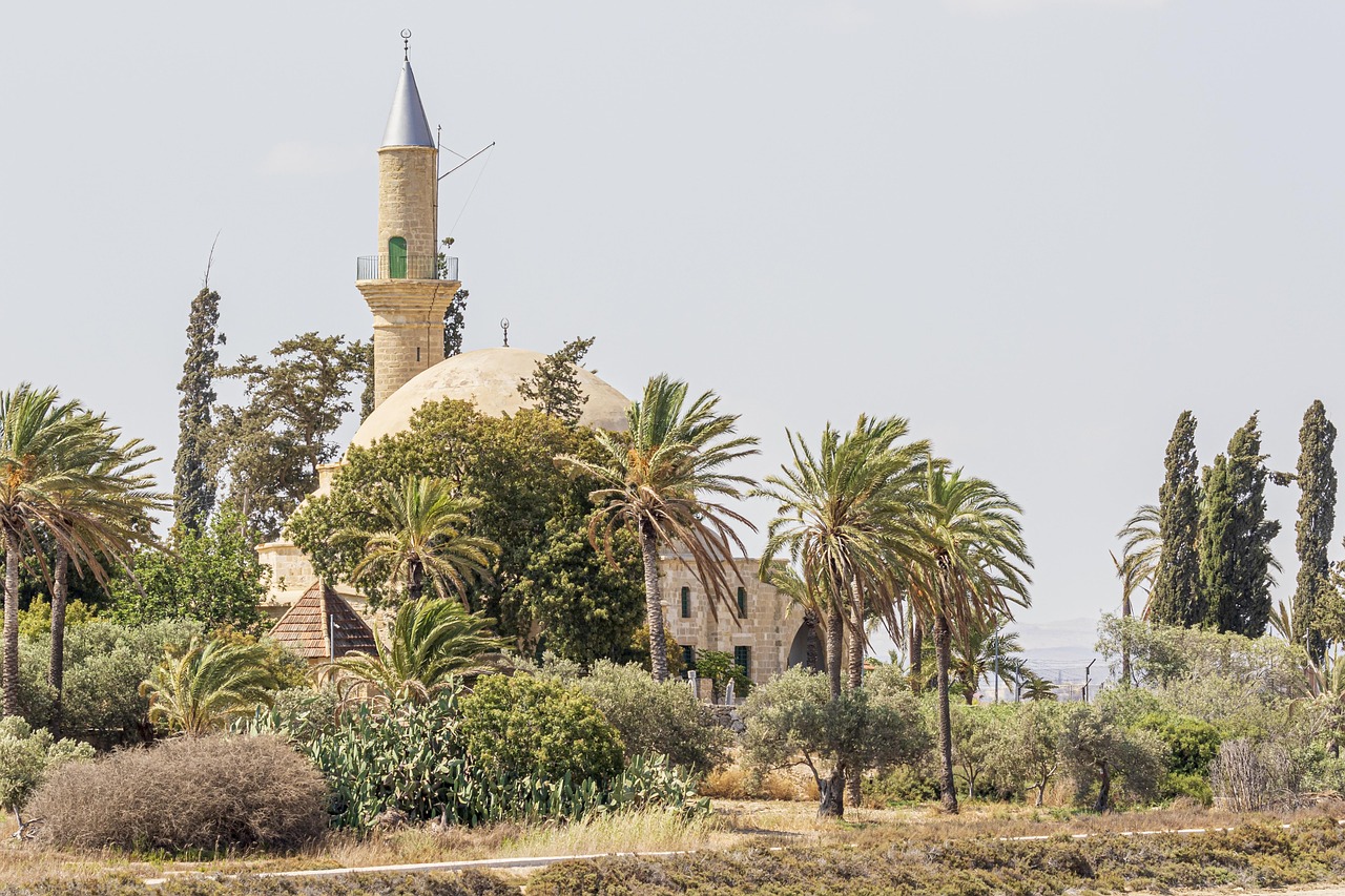 ancient, architecture, cyprus, hala sultan tekke, haram, historical, islam, islamic, landmark, landscape, nature, larnaca, mosque, muslim, palm tree, religion, religious, sightseeing, sultan, summer, tekke, temple, turkey, turkish, umm haram, worship