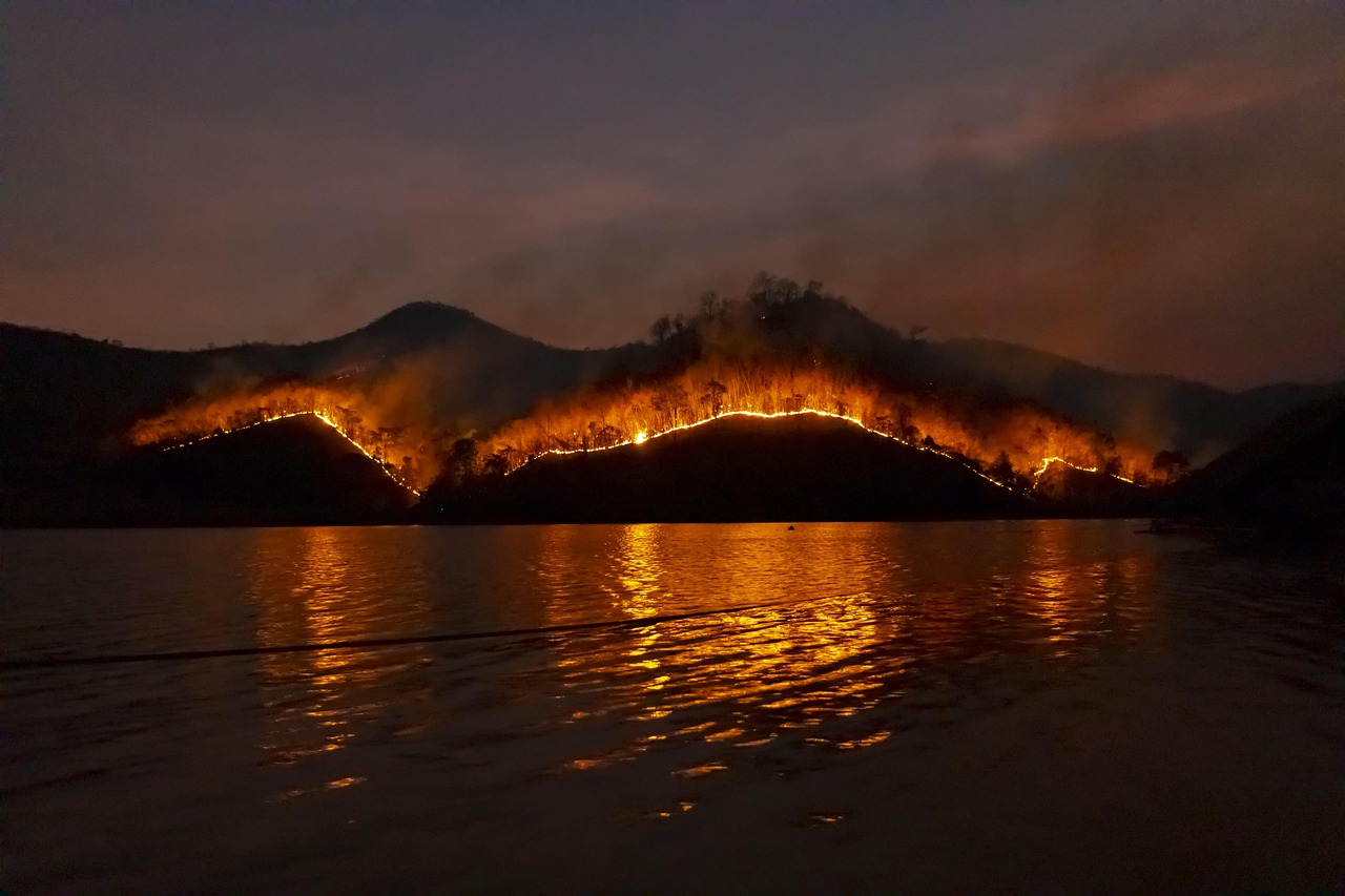 wildfire, nature, bushfire, fire, forest, emergency