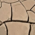 Tardigrady ukazujú, ako prežívajú extrémne podmienky v stave tun heat, dryness, cracks, earth, drought, floor, environment, texture, surface