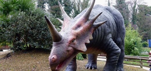 dinosaurs, prehistoric, jurassic, animal, reptile, predator, monster, ancient, dino, extinct, lizard, wild, nature, wildlife, history, fossil, dangerous, tyrannosaurus, evolution, teeth, archeology, large, creature, hunter, triceratops, t-rex, museum, science, fauna, triceratops, triceratops, triceratops, triceratops, triceratops