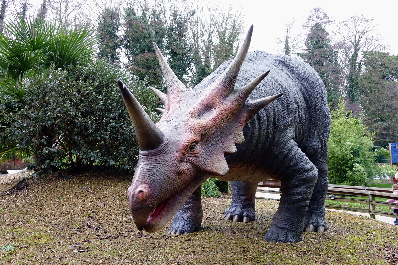 dinosaurs, prehistoric, jurassic, animal, reptile, predator, monster, ancient, dino, extinct, lizard, wild, nature, wildlife, history, fossil, dangerous, tyrannosaurus, evolution, teeth, archeology, large, creature, hunter, triceratops, t-rex, museum, science, fauna, triceratops, triceratops, triceratops, triceratops, triceratops