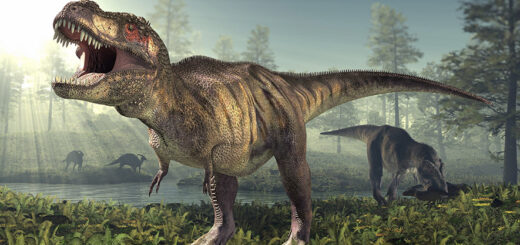 Prečo mäsožravé dinosaury ako T. rex získali drobné predné končatiny