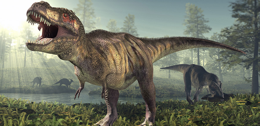 Prečo mäsožravé dinosaury ako T. rex získali drobné predné končatiny