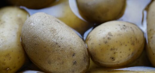 potatoes, vegetables, boiling, organic, potassium