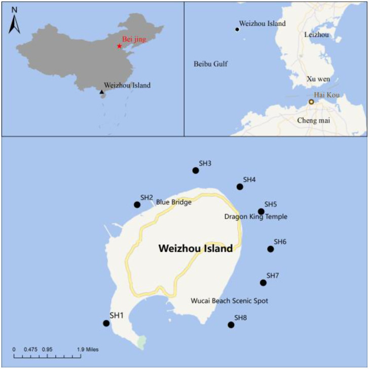Environmental DNA (eDNA) dataset of fish diversity and distribution in the coastal waters of Weizhou Island, Beibu Gulf.