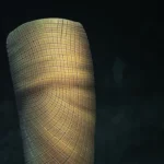 Vedci objavili 550-miliónročnú hubu, ktorá vypĺňa chýbajúce roky evolúcie Vedci objavili 550-miliónročnú hubu, ktorá vypĺňa chýbajúce roky evolúcie