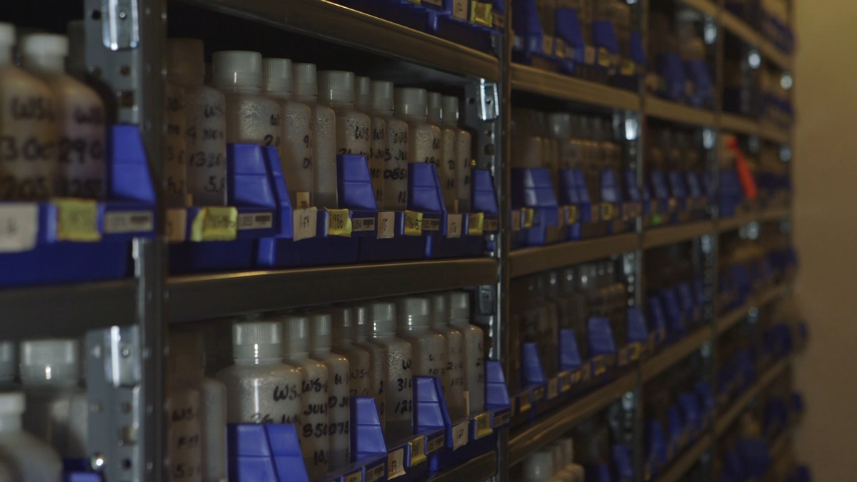 Shelves filled with labeled environmental samples in long-term storage.