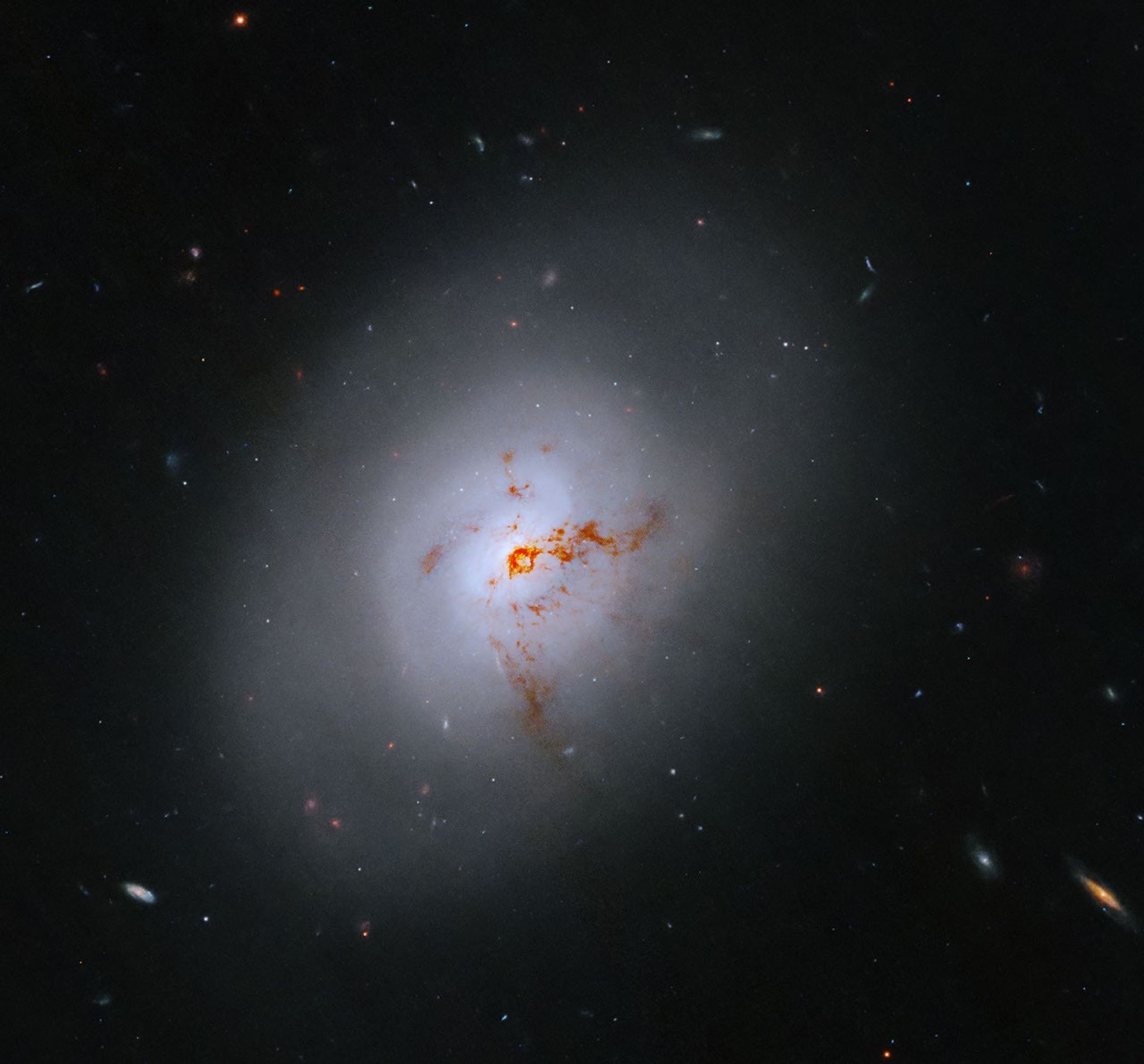 This Hubble image is of a bright lenticular galaxy (NGC 1266) seen nearly face on. Broad bright and dimmer areas of light hint at spiral structure, but there are no distinct spiral arms. Rusty-reddish-brown dust bisects the galaxy. More distant galaxies dot the black background, some even shining through the less dense regions of the bright foreground lenticular galaxy.