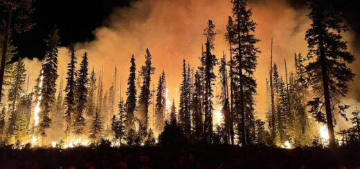 Most of the U.S. West Faces Above-Normal Wildfire Risk This Summer, Outlook Says