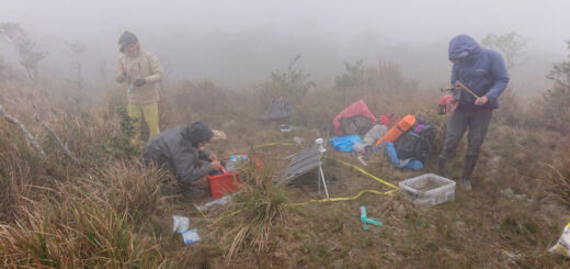 Seismic Attenuation Maps Hidden Faults and Deep Structure Beneath Taiwan