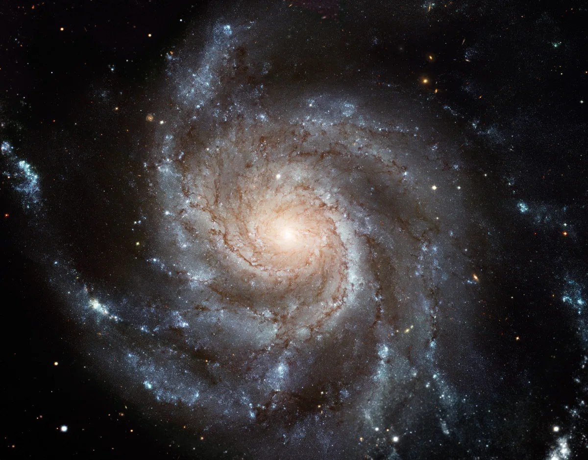 AbSciCon