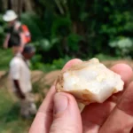 V pralese v Pobreží Slonoviny našli stopy ľudí staré asi 150-tisíc rokov. Mení to pohľad na začiatky Homo sapiens V pralese v Pobreží Slonoviny našli stopy ľudí staré asi 150-tisíc rokov. Mení to pohľad na začiatky Homo sapiens