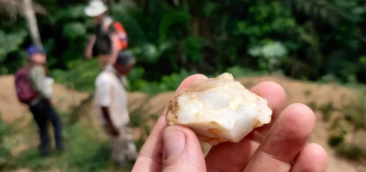 V pralese v Pobreží Slonoviny našli stopy ľudí staré asi 150-tisíc rokov. Mení to pohľad na začiatky Homo sapiens