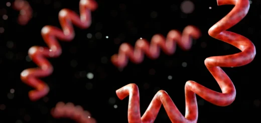 5 500 rokov stará DNA z Kolumbie odhaľuje najstarší známy genóm baktérie spojenej so syfilisom