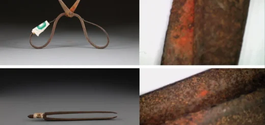 Na 600-ročných čínskych chirurgických nástrojoch našli stopy skorého lokálneho anestetika z jedovatej rastliny