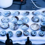Pri Nórsku objavili vrak z 18. storočia plný neporušeného porcelánu a luxusného tovaru Pri Nórsku objavili vrak z 18. storočia plný neporušeného porcelánu a luxusného tovaru