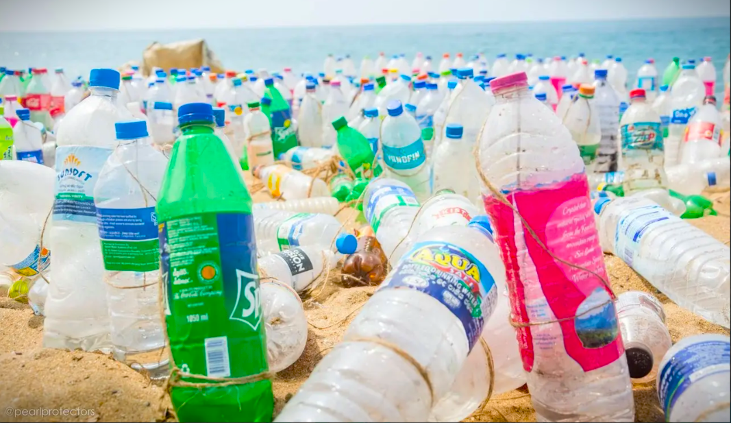 Sri Lanka bans single-use plastic bottles at government events, charges for plastic bags