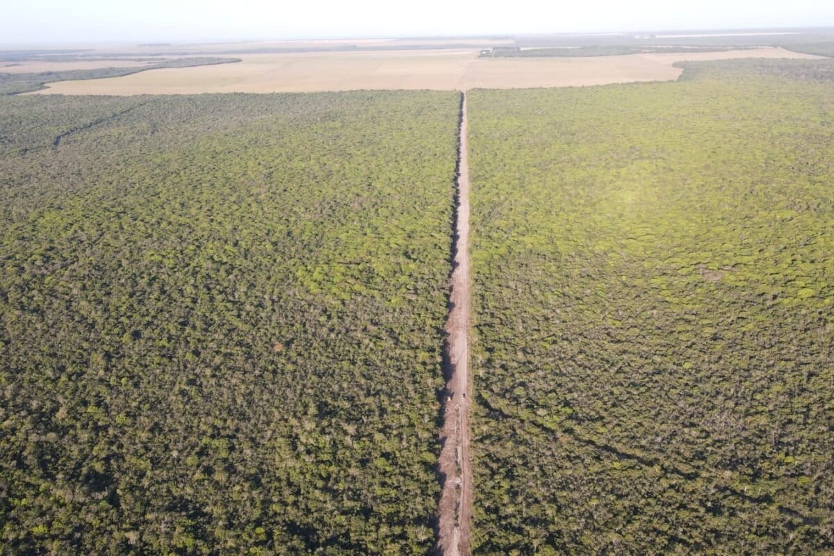 In Brazil, a project paying farmers for forests is looking to scale up