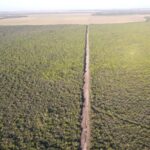 V Brazílii chcú rozšíriť program, ktorý platí farmárom za zachovanie lesov V Brazílii chcú rozšíriť program, ktorý platí farmárom za zachovanie lesov