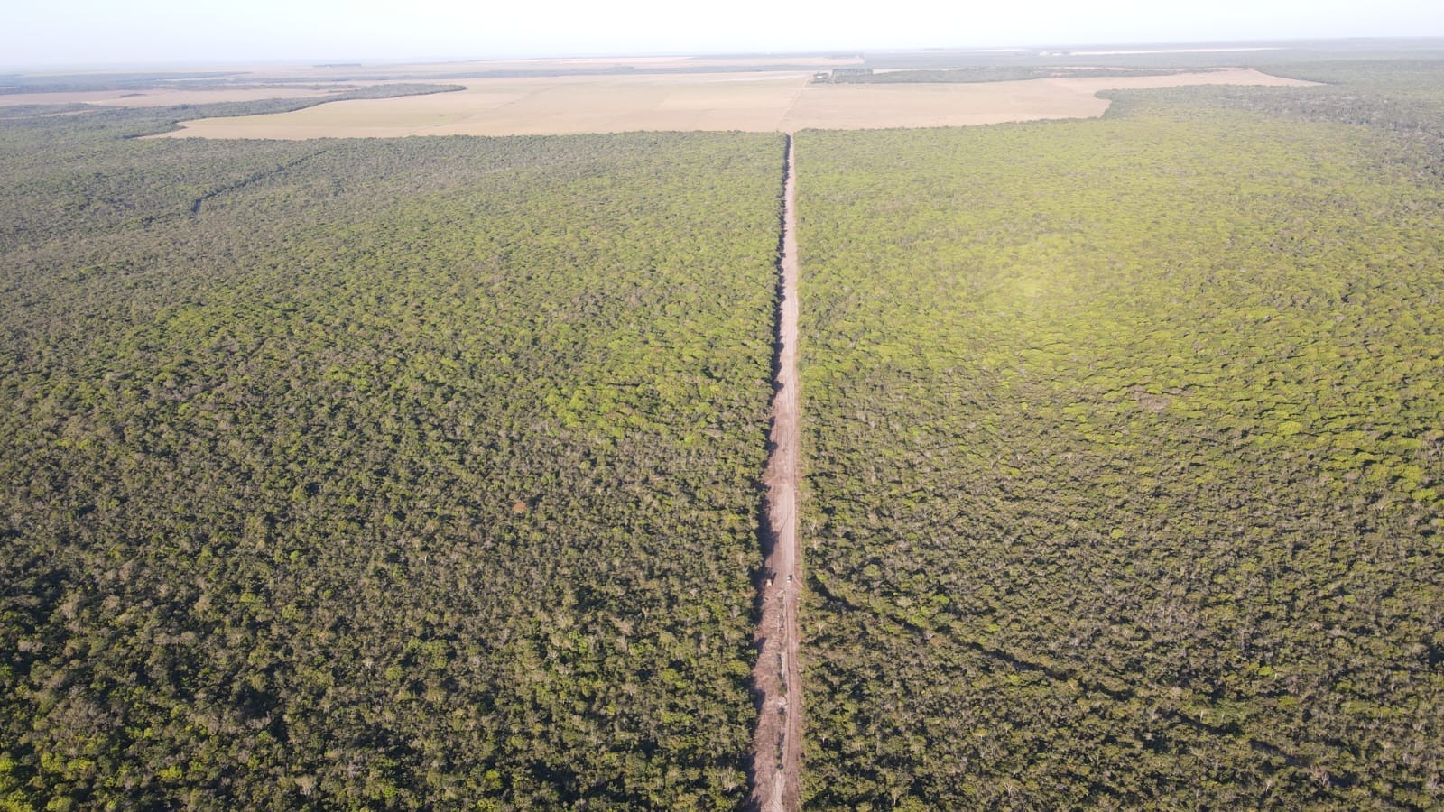 In Brazil, a project paying farmers for forests is looking to scale up