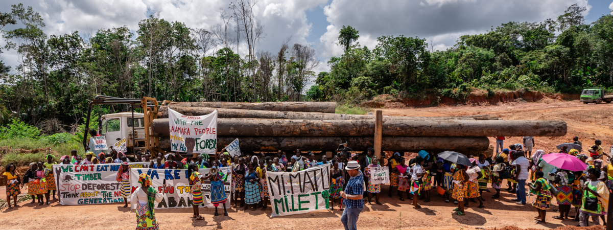 Conservation efforts by families displaced for national park sees success in DRC