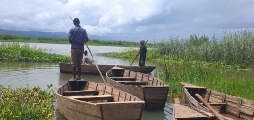 Malawi’s Elephant Marsh: Ako chrániť mokraď, ktorá živí tisíce ľudí