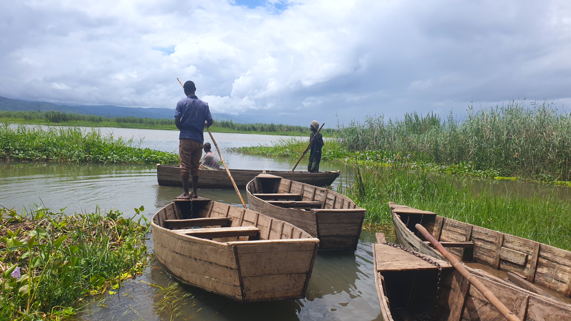 Malawi’s Elephant Marsh: The challenge of protecting a wetland that sustains thousands