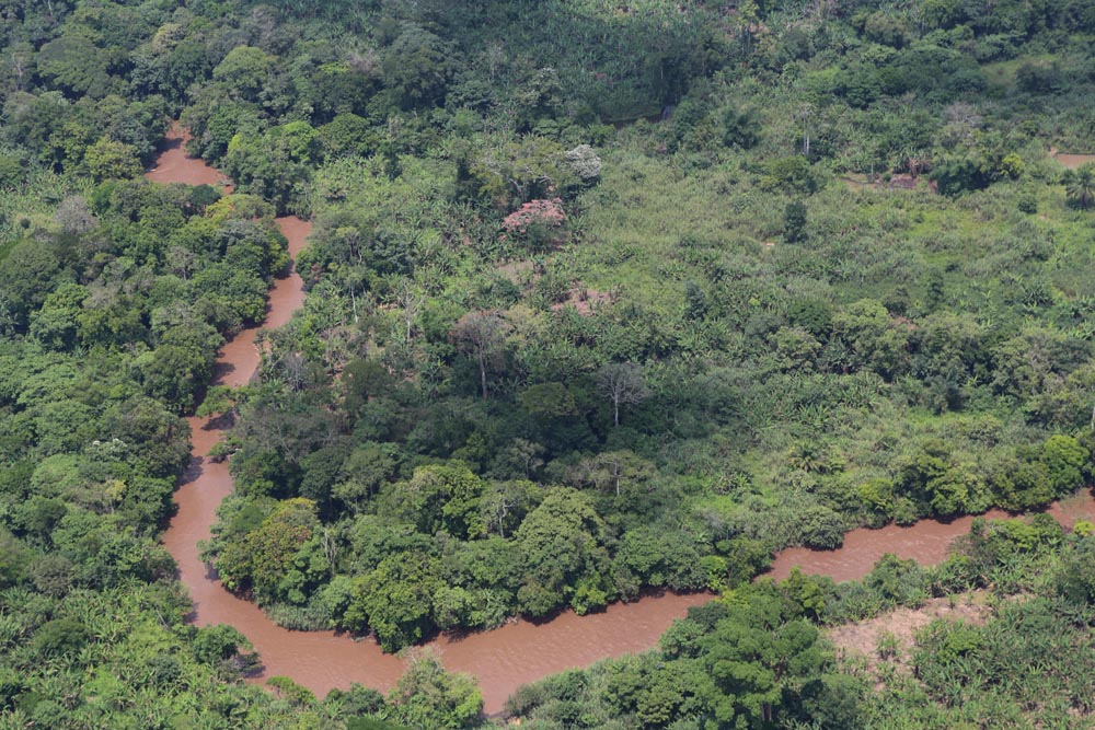 Aerial view of forest and river in North Kivu, DR Congo. Image by MONUSCO/Myriam Asmani via Wikimedia Commons (CC BY-SA 2.0).