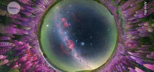 Najlepšie májové vedecké snímky: Milky Way v lupinách, huba na Marse aj nový druh medúzy