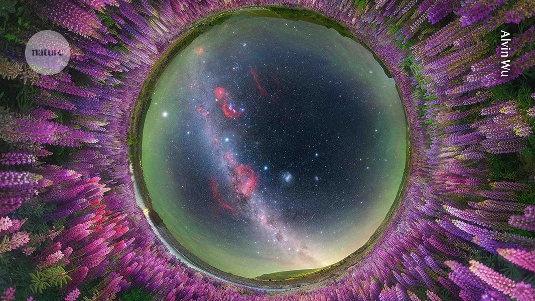 Najlepšie májové vedecké snímky: Milky Way v lupinách, huba na Marse aj nový druh medúzy