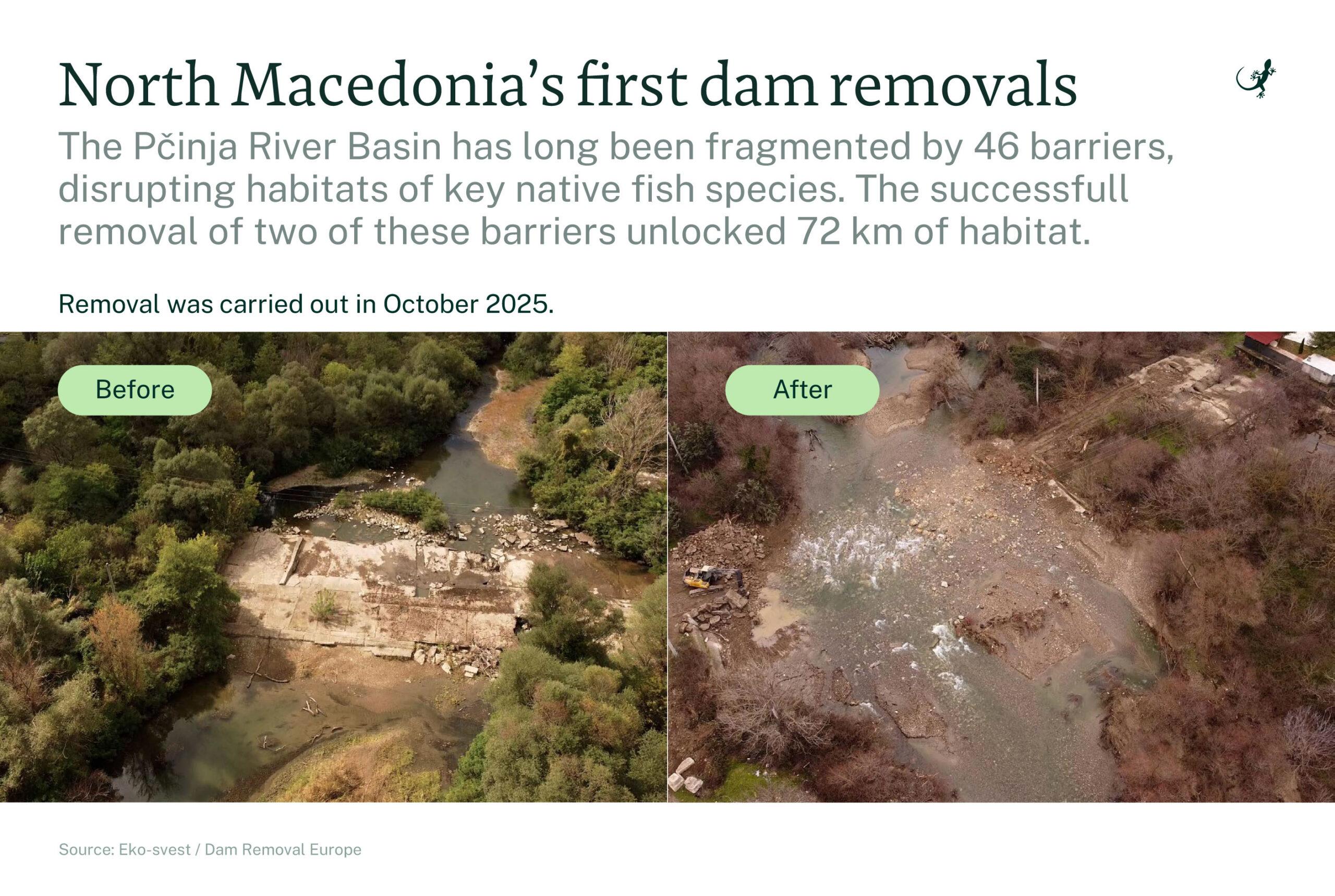 Europe removes record number of dams in 2025 to restore rivers, help species