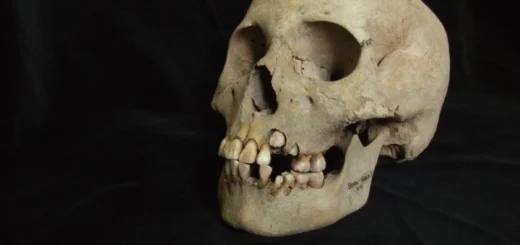 Staroveká DNA odhalila najstaršie známe prepuknutie moru u lovcov a zberačov na Sibíri