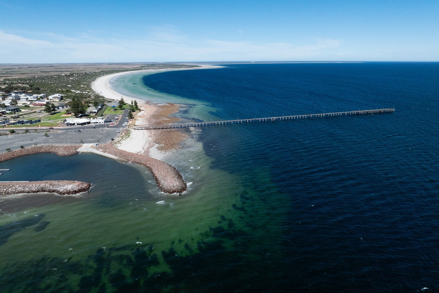 A drone shot of the Port Hughes coastline and jetty on March 31 after the arrival of the harmful algal bloom.