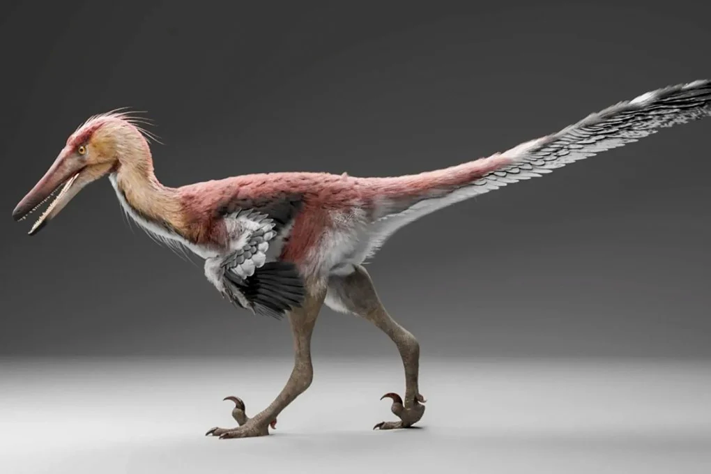 Discovery of fish-eating raptor in Argentina points to prehistoric links with China