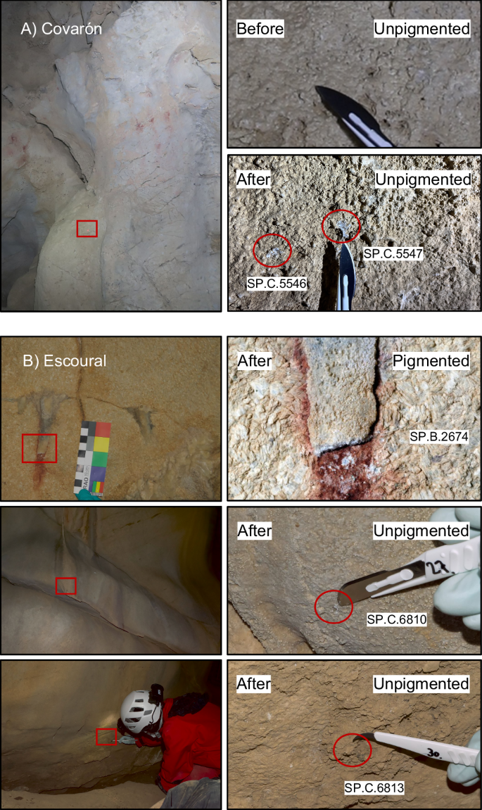 Fig. 3: Cave wall samples (pigmented and unpigmented) yielding ancient human DNA.