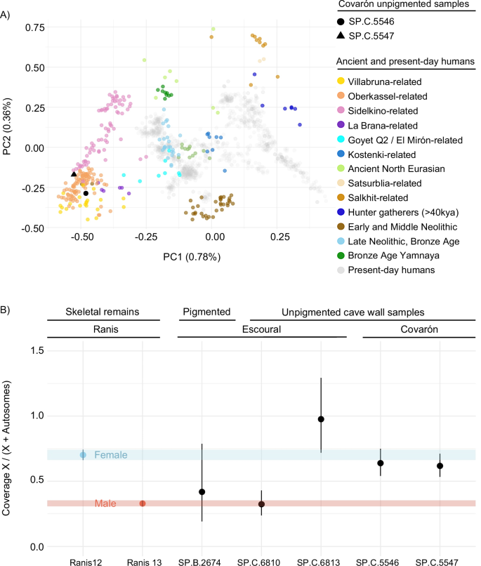 Fig. 5: Human nuclear DNA recovered from the pigmented and unpigmented cave wall samples.