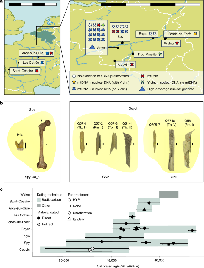 Fig. 1 : Temporal and geographical overview of the analysed Neanderthal remains.