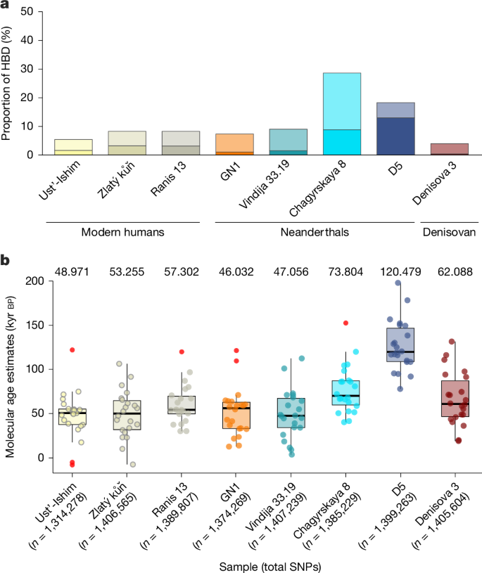 Fig. 3: Archaic genetic diversity.
