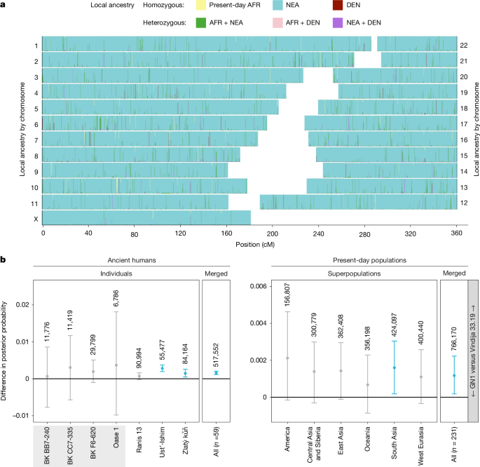 Fig. 5: Gene flow between GN1 and modern humans.
