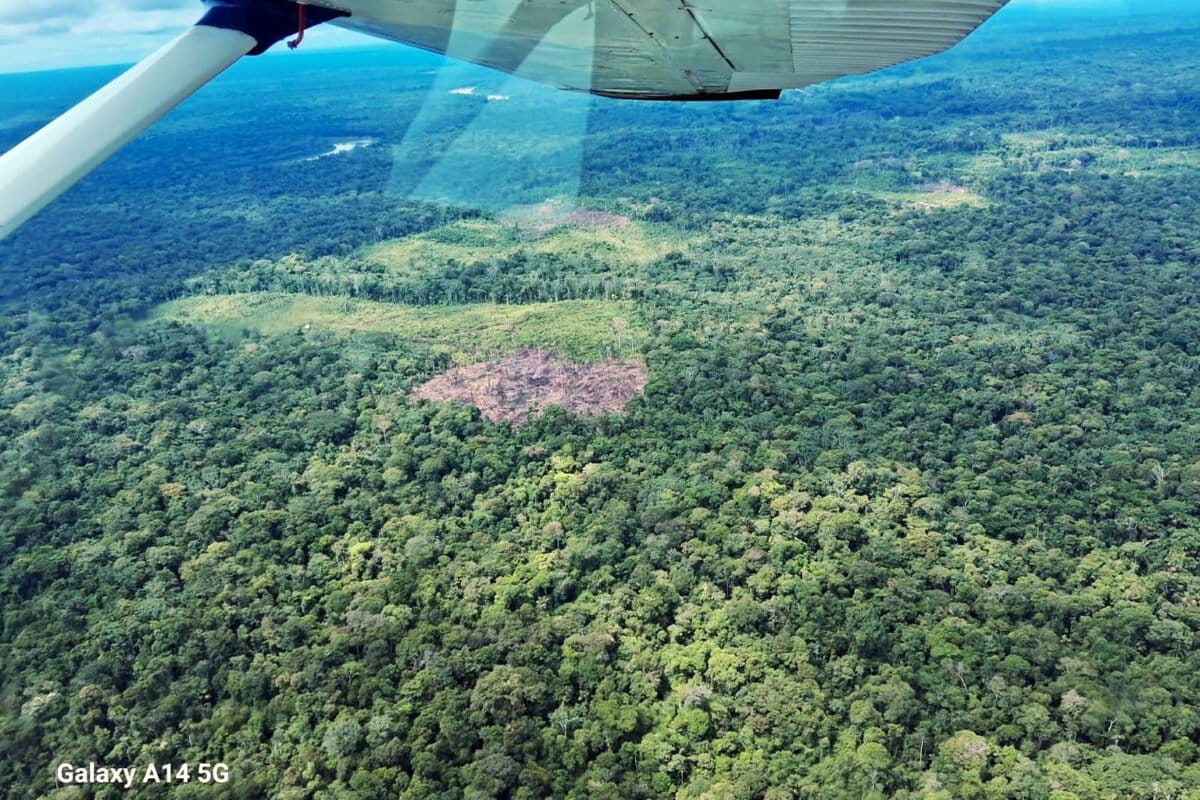 In Peru and Brazil, extractivism threatens Indigenous people in isolation: Report
