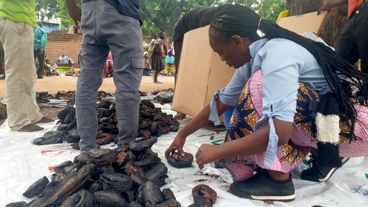 Flora Kumilai trades fish from the marsh in Kasumbalesa — 1,500 kilometers away on the border between Zambia and the Democratic Republic of Congo. Image by Charles Mpaka for Mongabay.