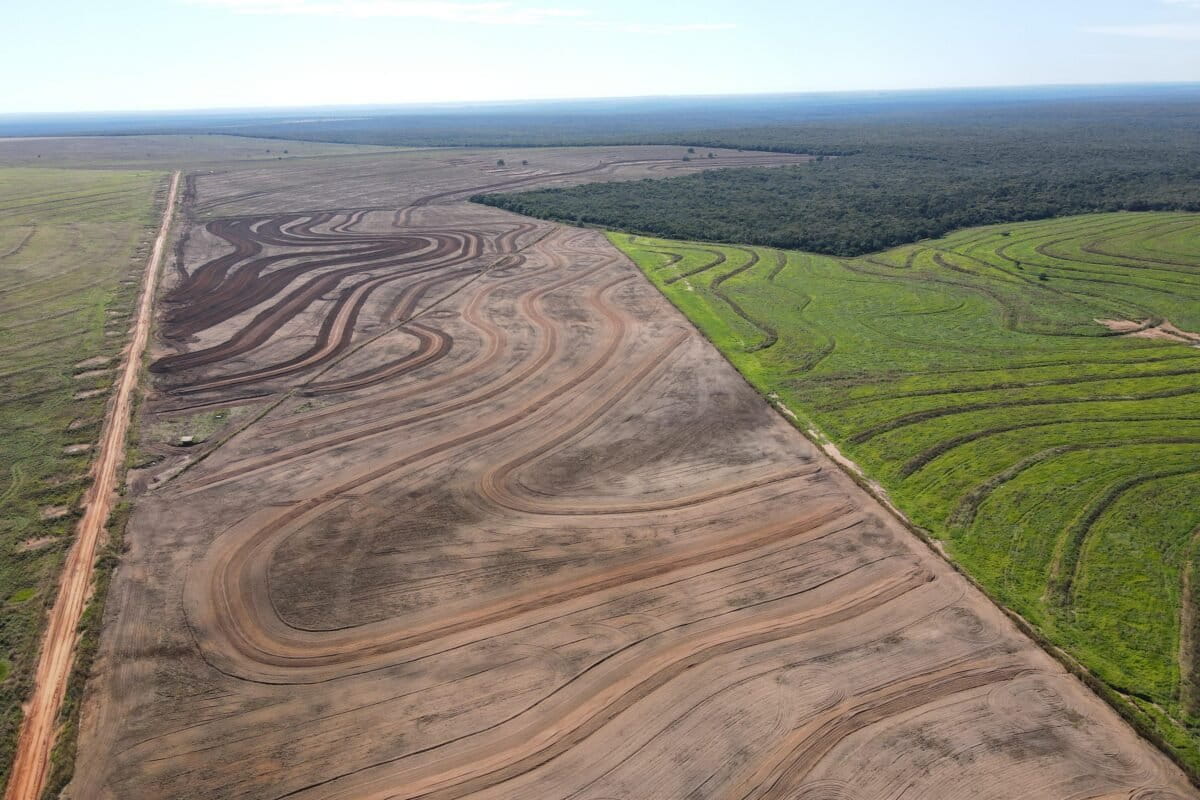In Brazil, a project paying farmers for forests is looking to scale up