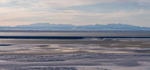 USA chystajú ďalší predaj licencií na ťažbu ropy a plynu v Arctic National Wildlife Refuge na Aljaške