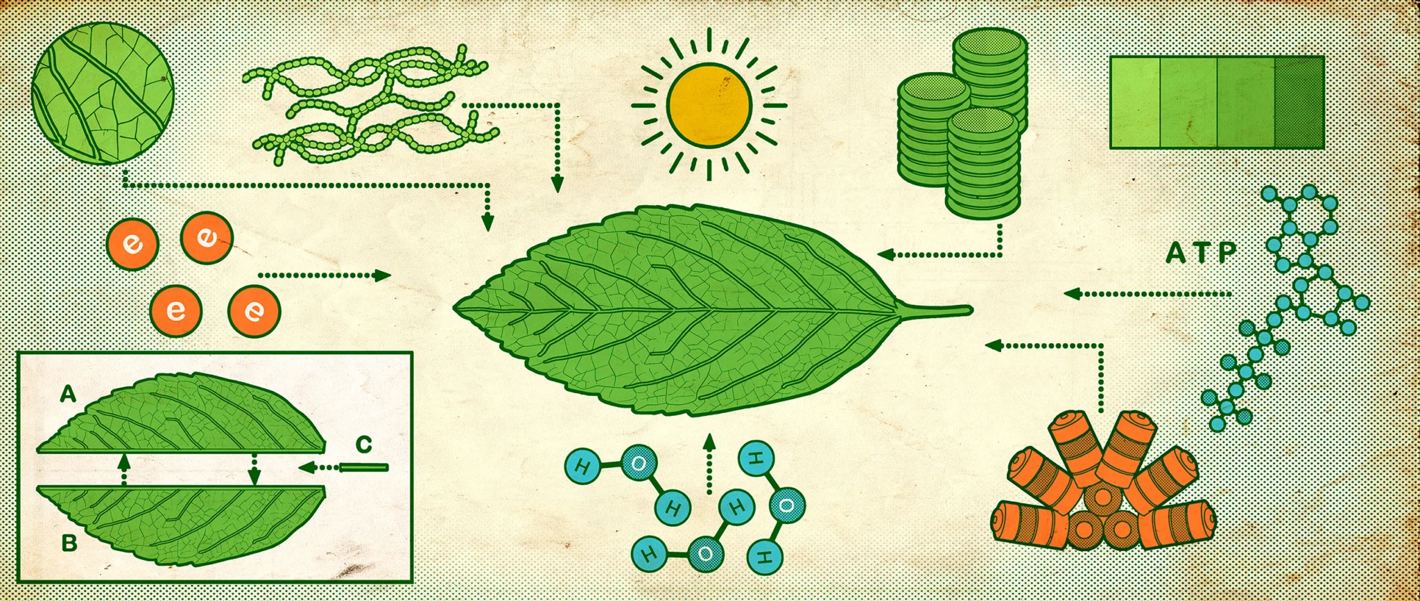What’s the Future of Gene Editing?
