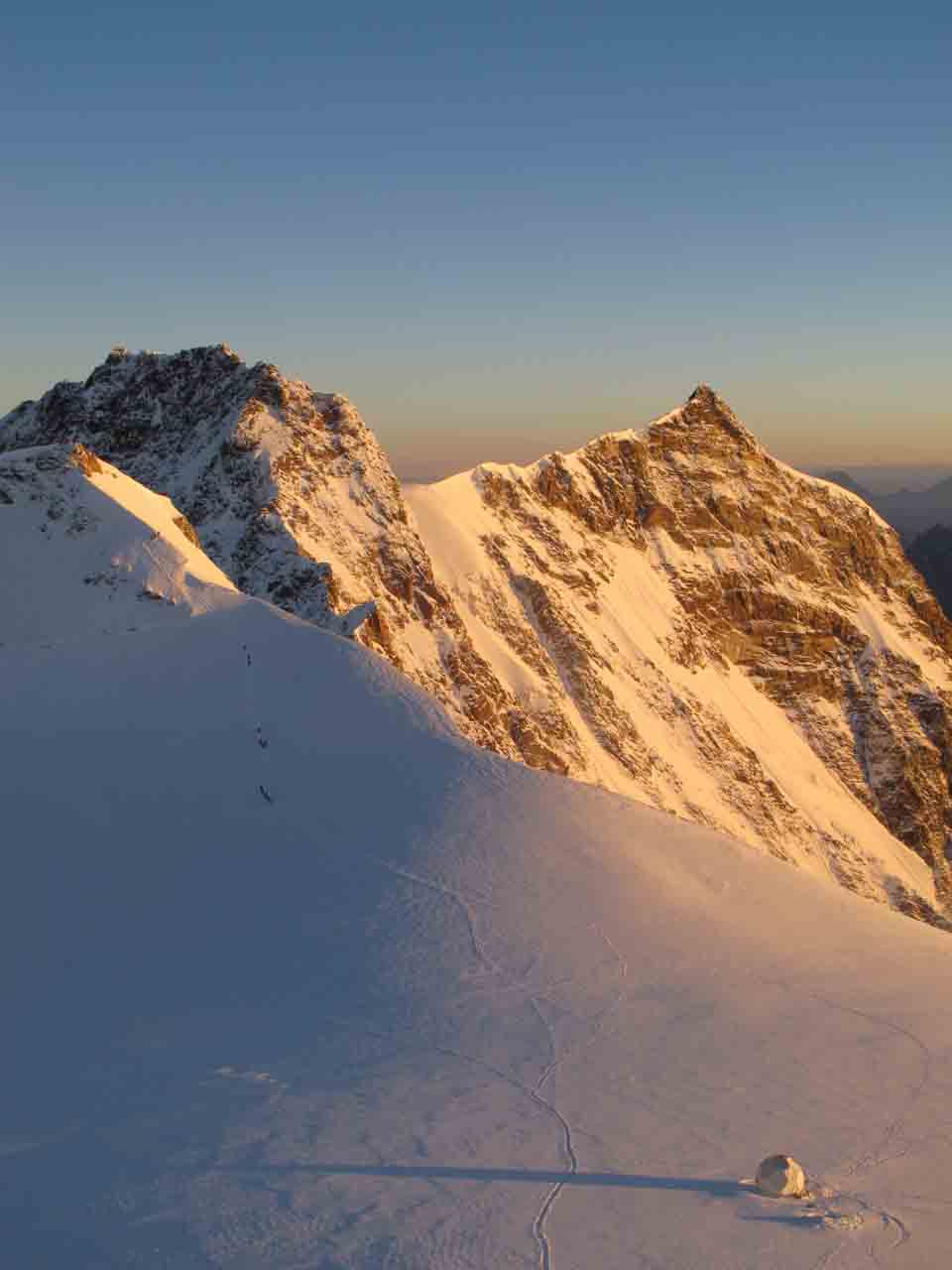 Ancient Yeasts Identified on Ötzi the Iceman