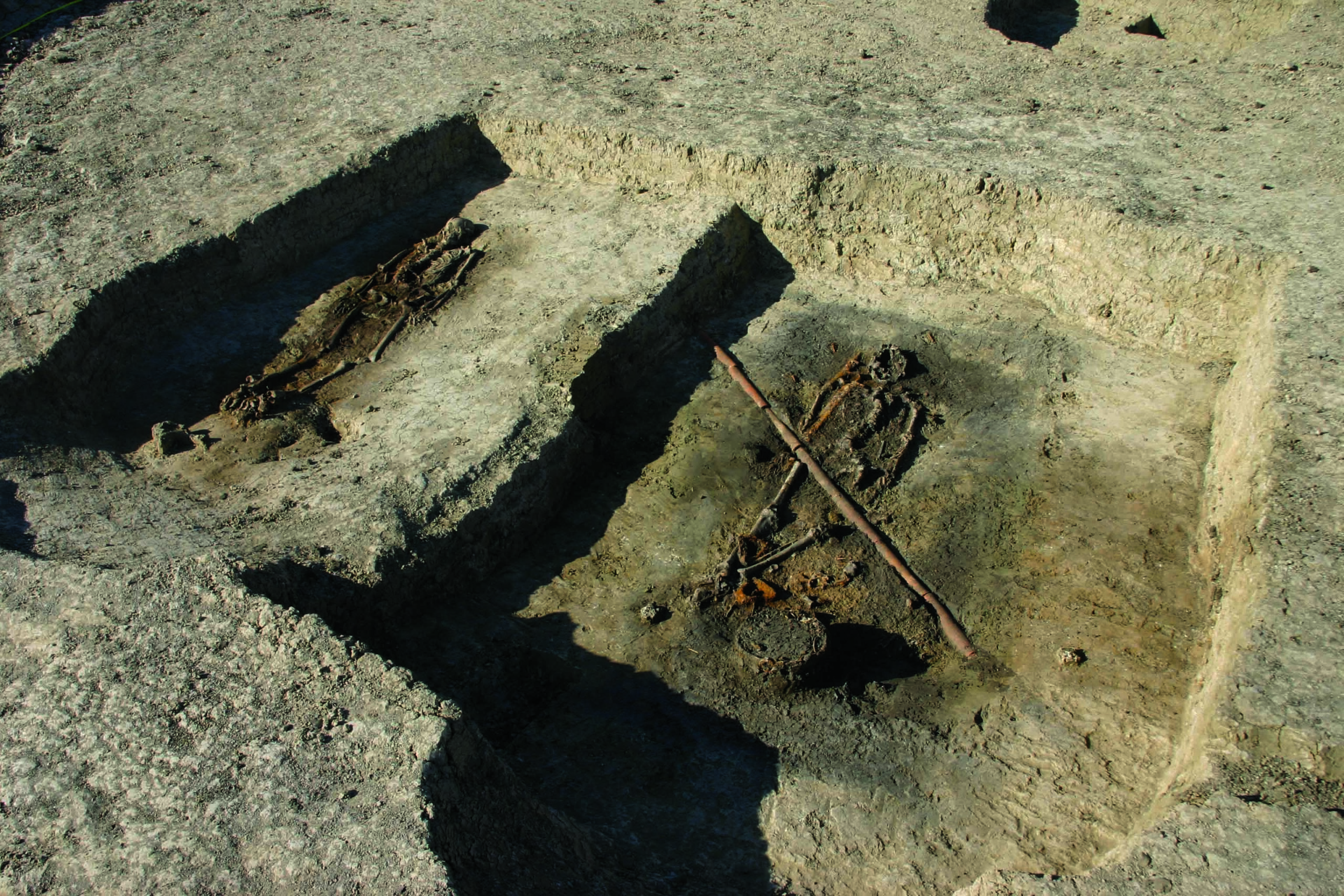 Viking Coins Found in Denmark Were Minted With Islamic Silver